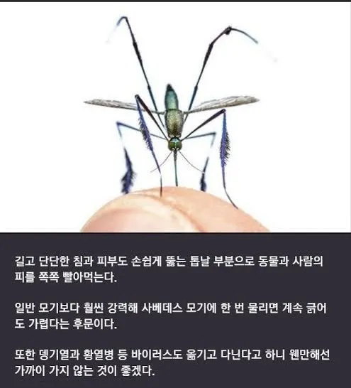 은근 신기하게 생겼다는 일렉트로닉 모기
