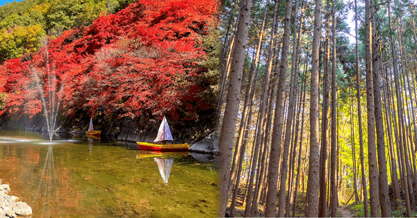 온라인 커뮤니티