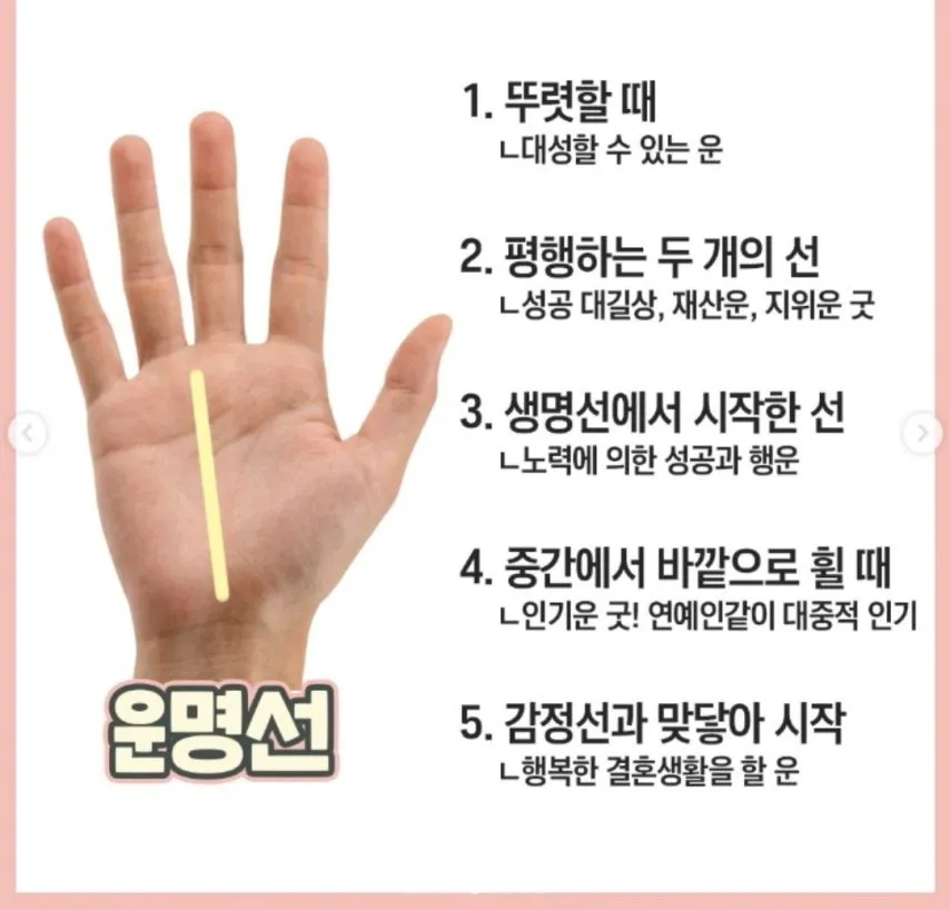 재미로 보는 손금 보는 방법