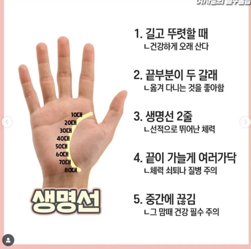 재미로 보는 손금 보는 방법