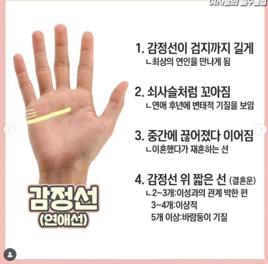 재미로 보는 손금 보는 방법