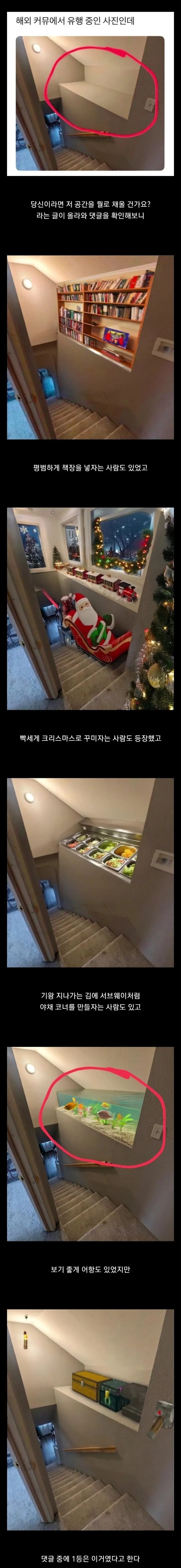 해외 커뮤에서 유행 중인 사진