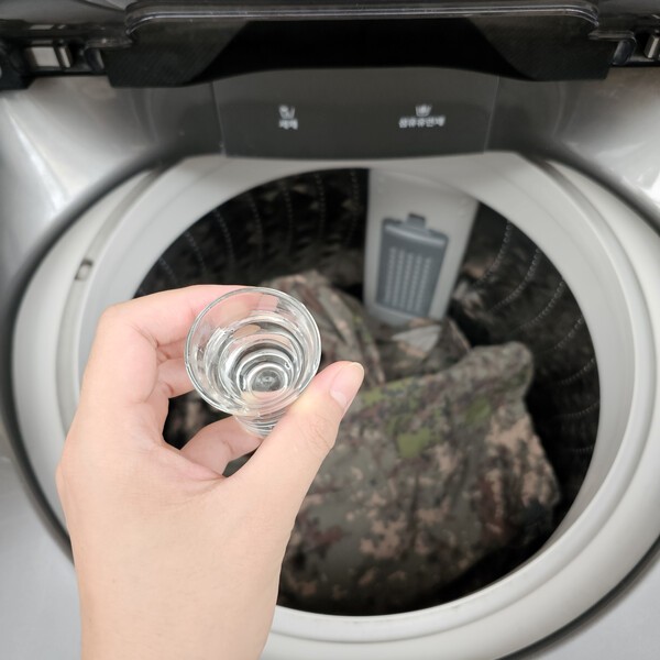 건강의 모든 것