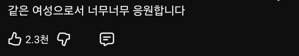 1년반 전 겪었던 ㅅ범죄 피해 고백한 20만 유투버 27