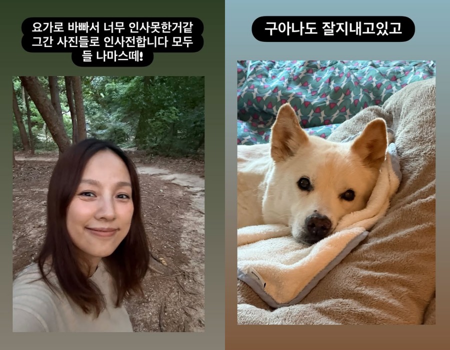이효리, 새 가족 알린 기쁜 소식 "우리 가족이 되었지요"