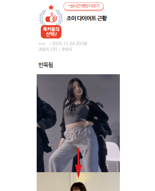 조이 다이어트 근황 .. 개말라됨...