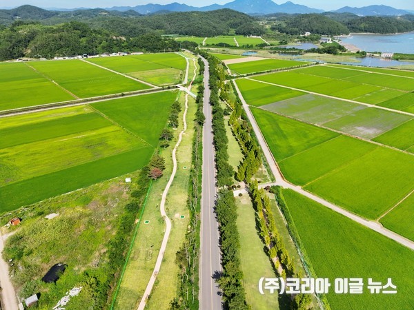 하동군, 진교 파크골프장 제2구장 전경&nbsp; (사진/제공=하동군)