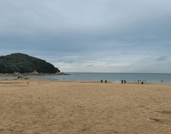 온라인 커뮤니티