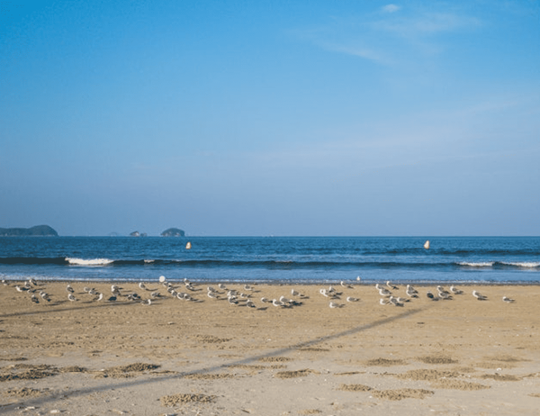 온라인 커뮤니티