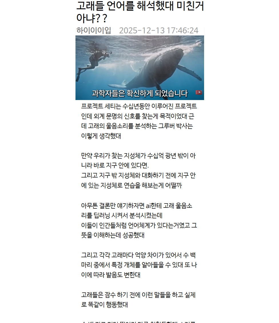 고래들 언어를 해석했대 미친거 아냐??
