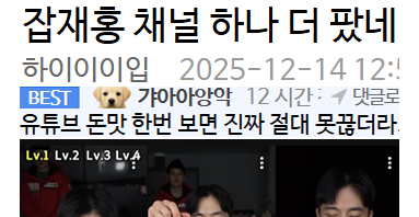 잡재홍 채널 하나 더 팠네