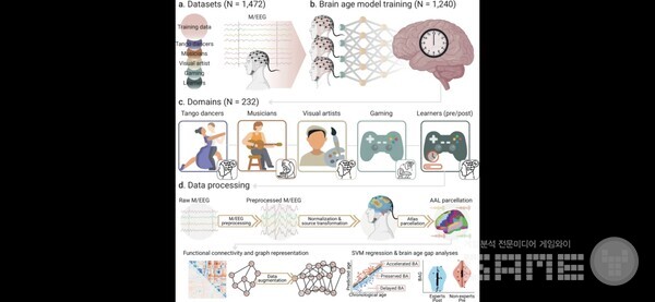 (a) 뇌 시계 모델을 만들고 (b) 다양한 수준의 창의적 경험을 가진 그룹에서 모델을 테스트하기 위해 1,473명의 참가자를 포함했다