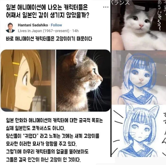 btb1a8c65c168ebd1ec36d3fd533fa21e7.png