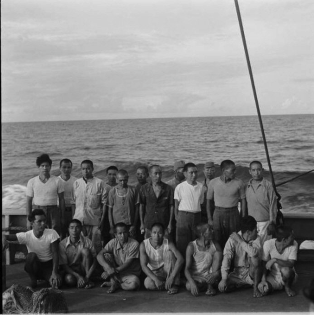 [실물공개]여자 1명과 남자 30명이 섬에 갇힌 사건