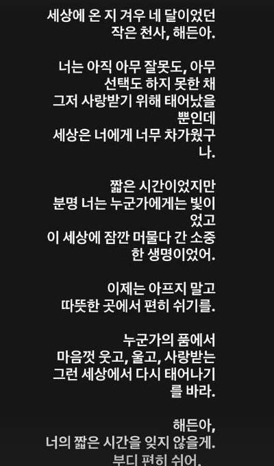 손담비 인스타그램