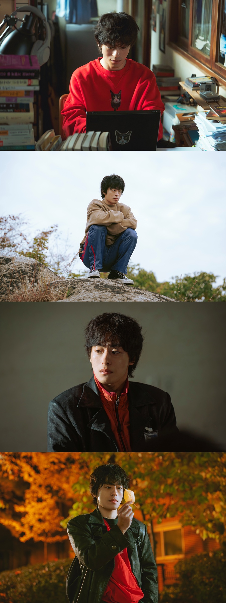 사진: 스튜디오 피닉스·SLL·스튜디오 플로우 제공