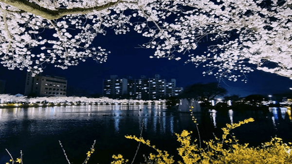 온라인 커뮤니티