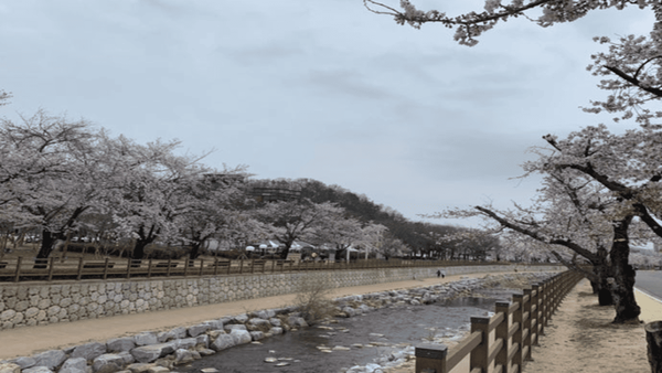 온라인 커뮤니티