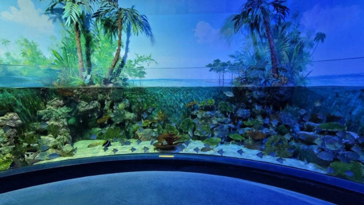 온라인 커뮤니티