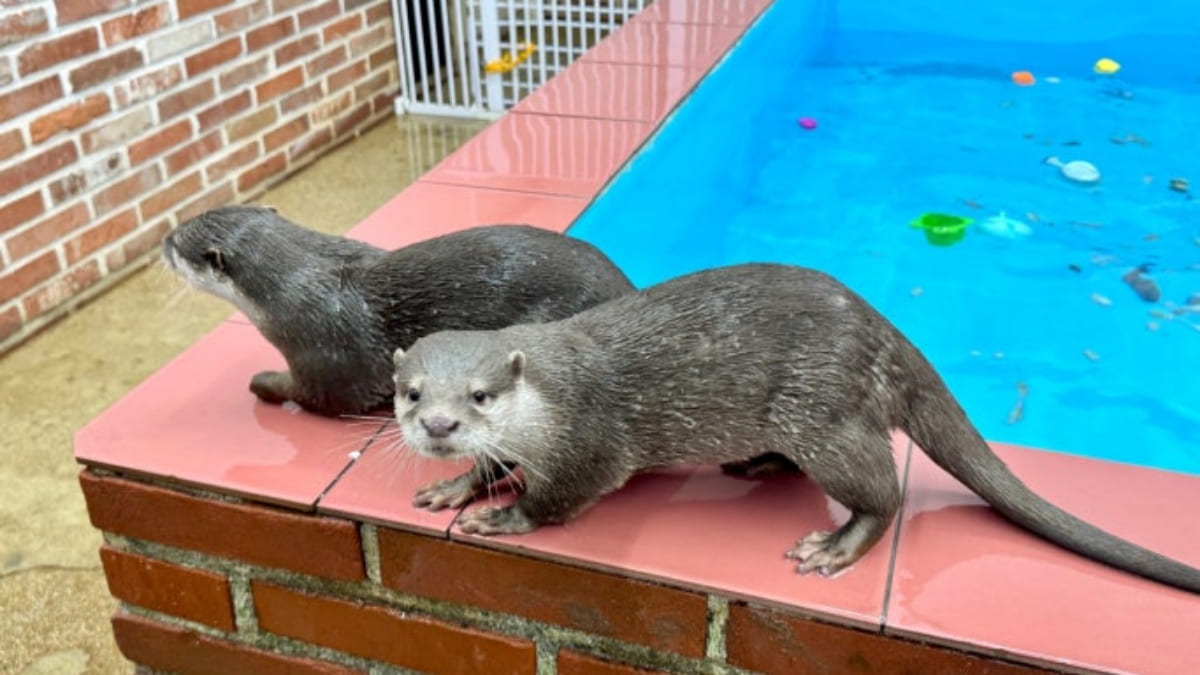 온라인 커뮤니티