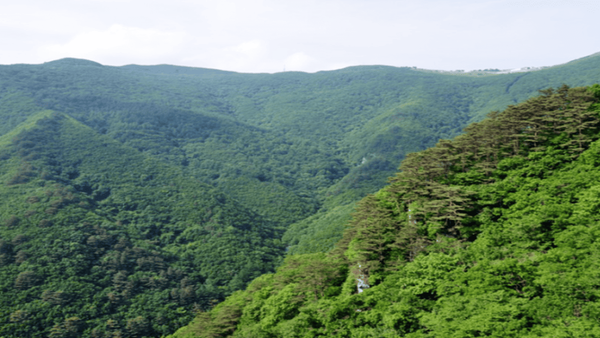온라인 커뮤니티