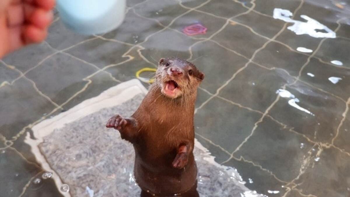 온라인 커뮤니티