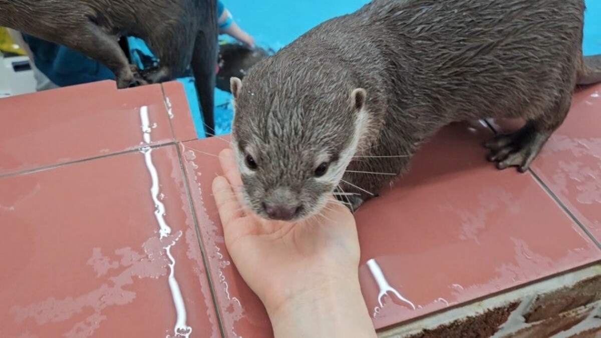 온라인 커뮤니티