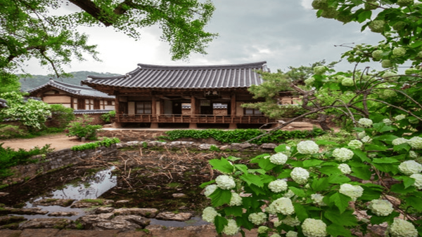 온라인 커뮤니티