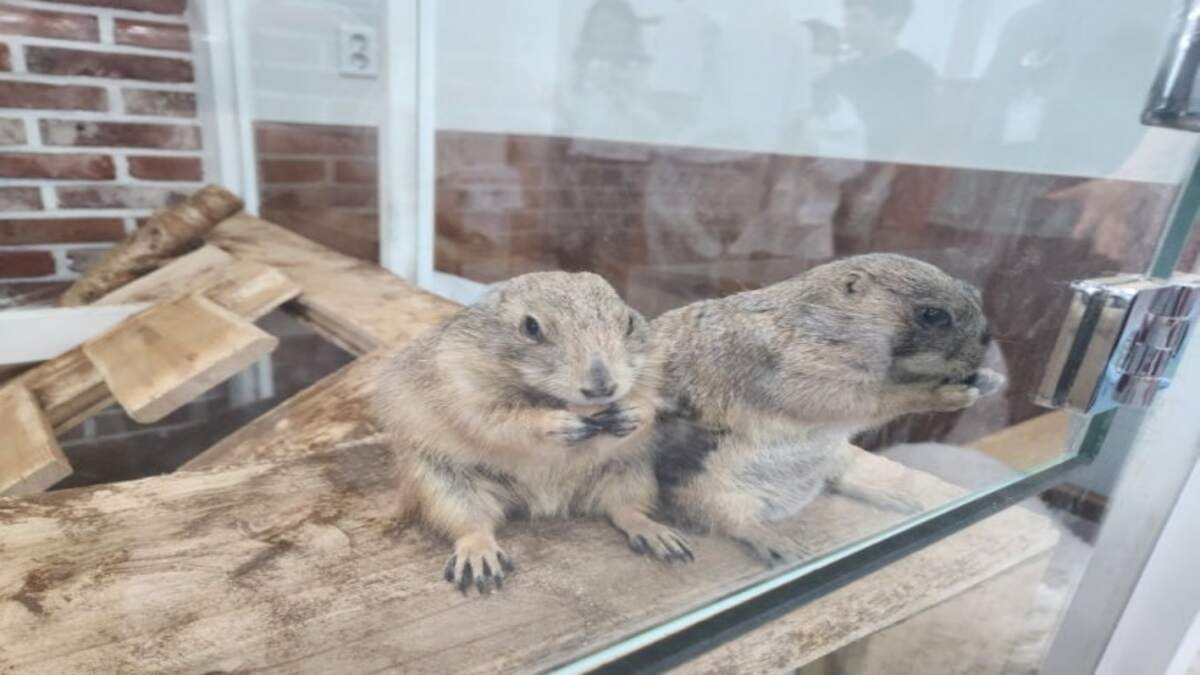 온라인 커뮤니티