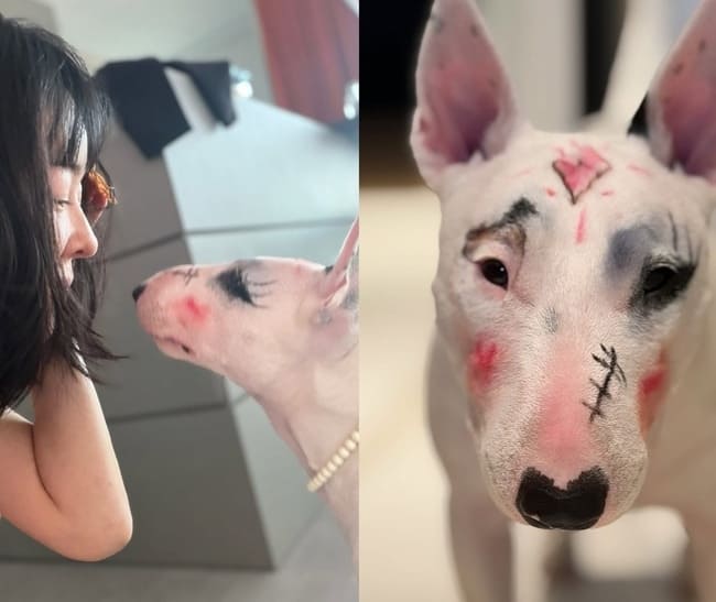 온라인 커뮤니티