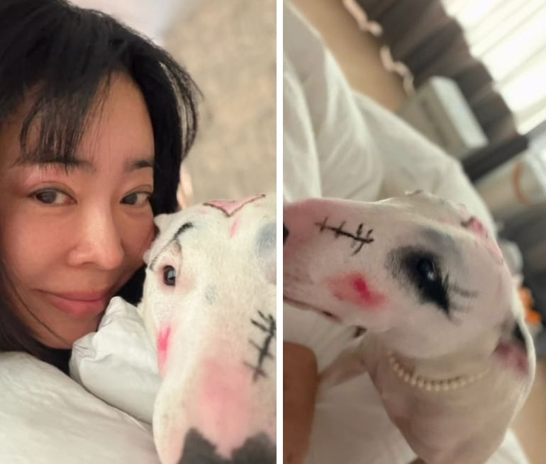 온라인 커뮤니티