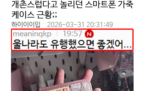 개촌스럽다고 놀리던 스마트폰 가죽케이스 근황;;