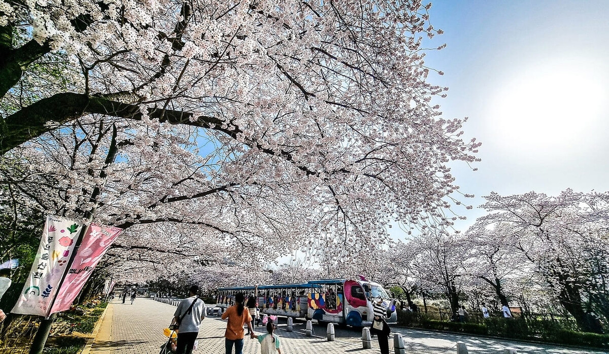 온라인 커뮤니티