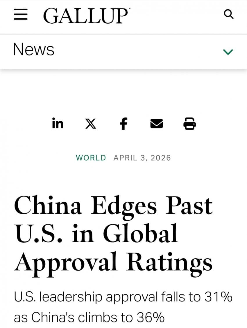 17753050625508.jpg