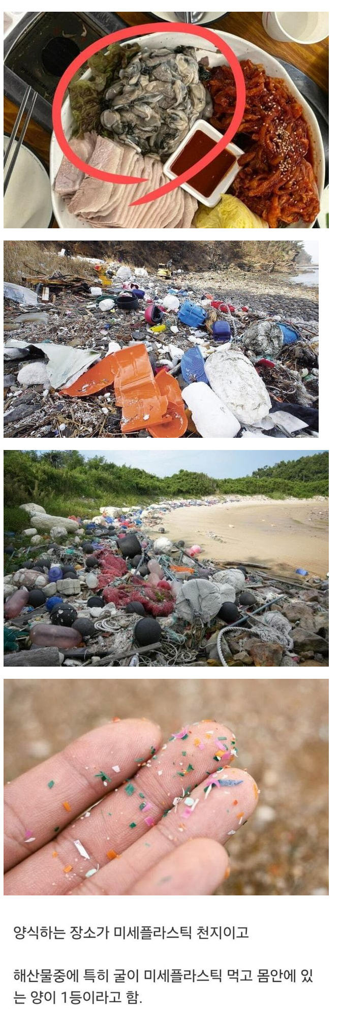 굴을 조심해야 하는 이유