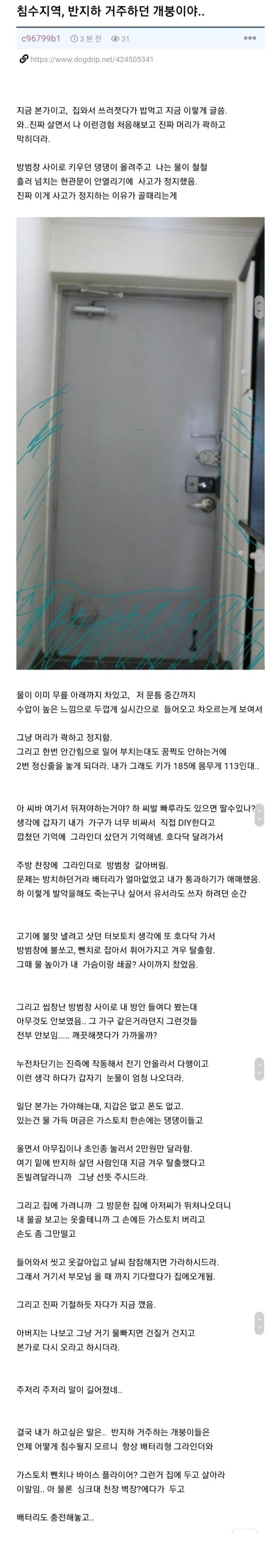 키 185, 110kg 남자 반지하에서 침수로 죽을뻔한 후기
