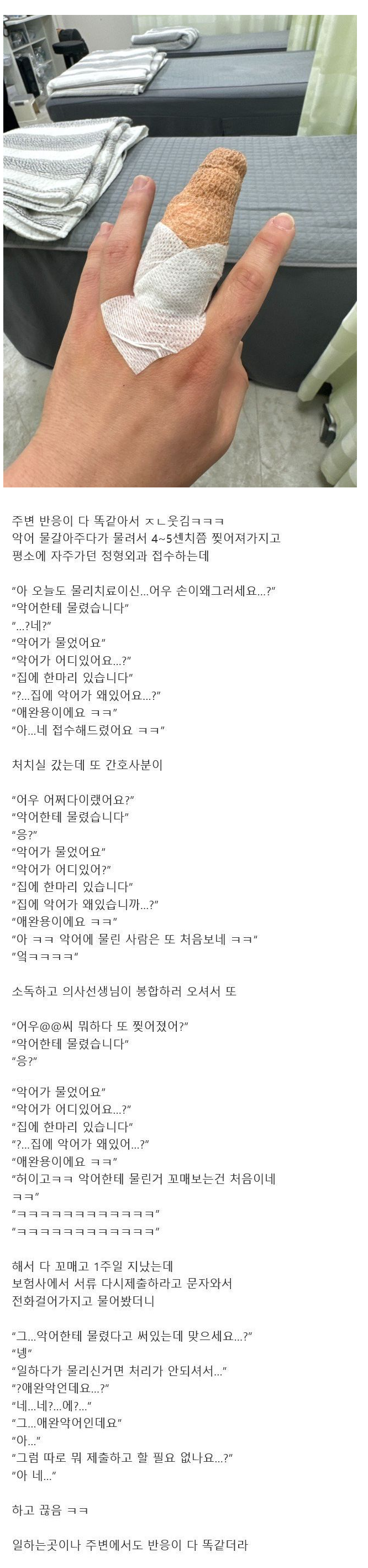 악어한테 물려서 병원가면 생기는 일