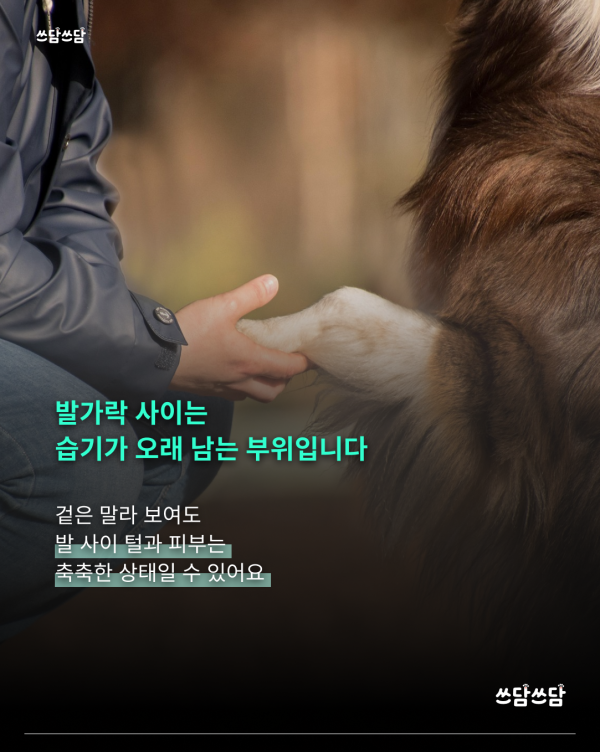 KakaoTalk_20260623_154551338_02.png