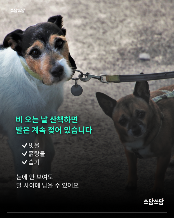 KakaoTalk_20260623_154551338_01.png