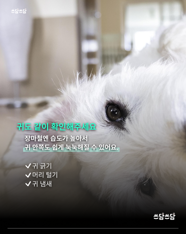 KakaoTalk_20260623_154551338_04.png