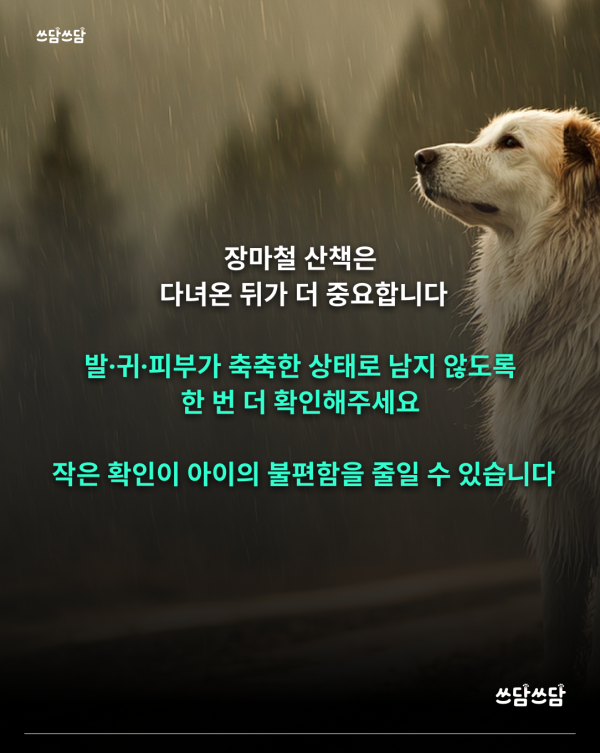 KakaoTalk_20260623_154551338_06.png