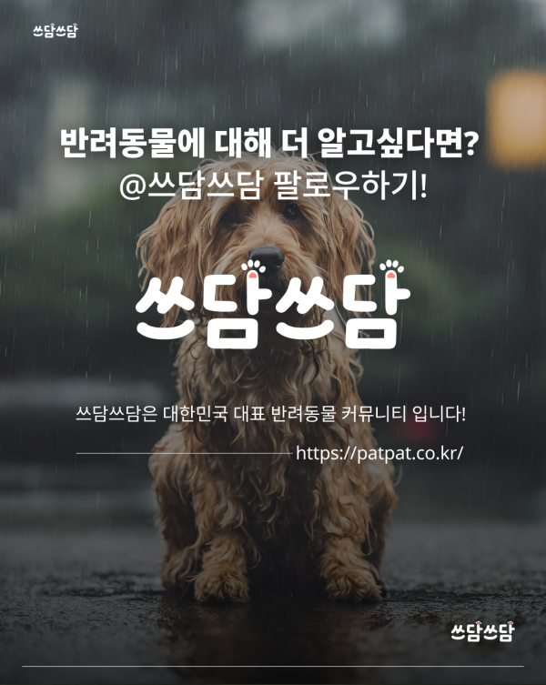 KakaoTalk_20260623_154551338_07.png