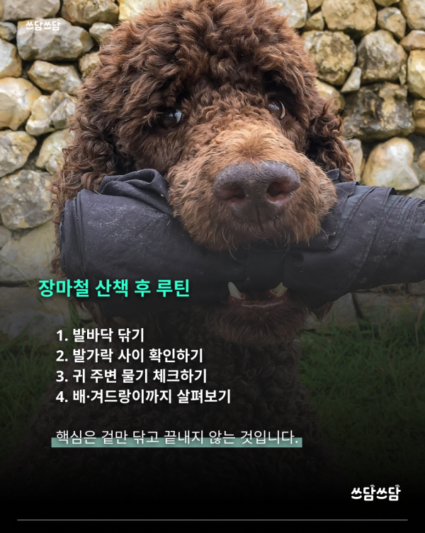 KakaoTalk_20260623_154551338_05.png