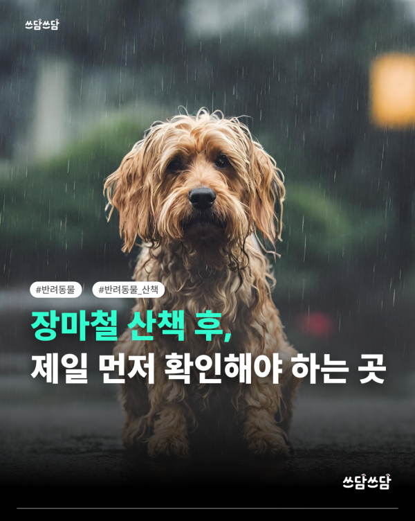 KakaoTalk_20260623_154551338.png