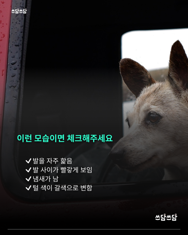 KakaoTalk_20260623_154551338_03.png