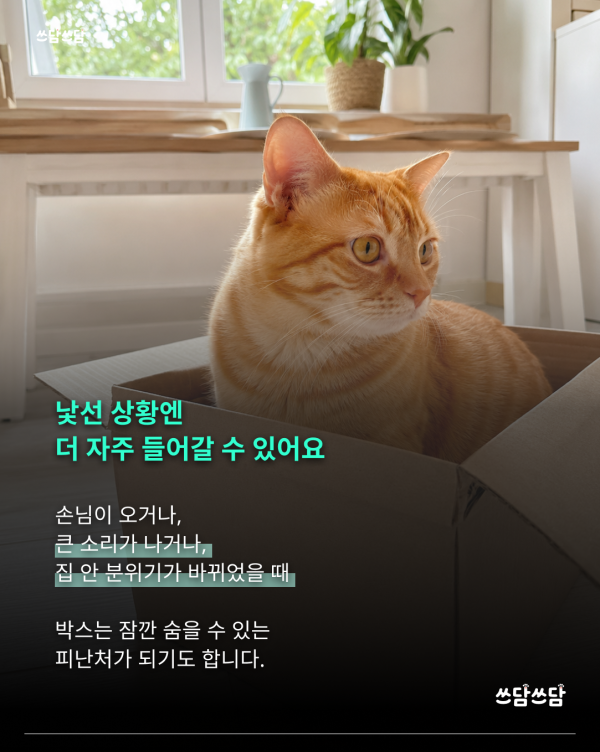KakaoTalk_20260722_145605931_04.png