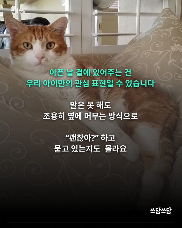 KakaoTalk_20260722_123522177_06.png