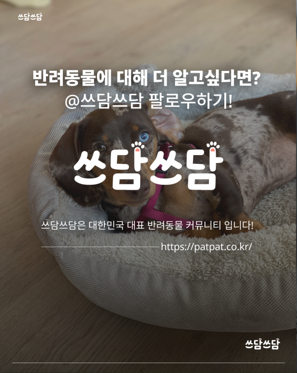 KakaoTalk_20260701_154320660_07.png
