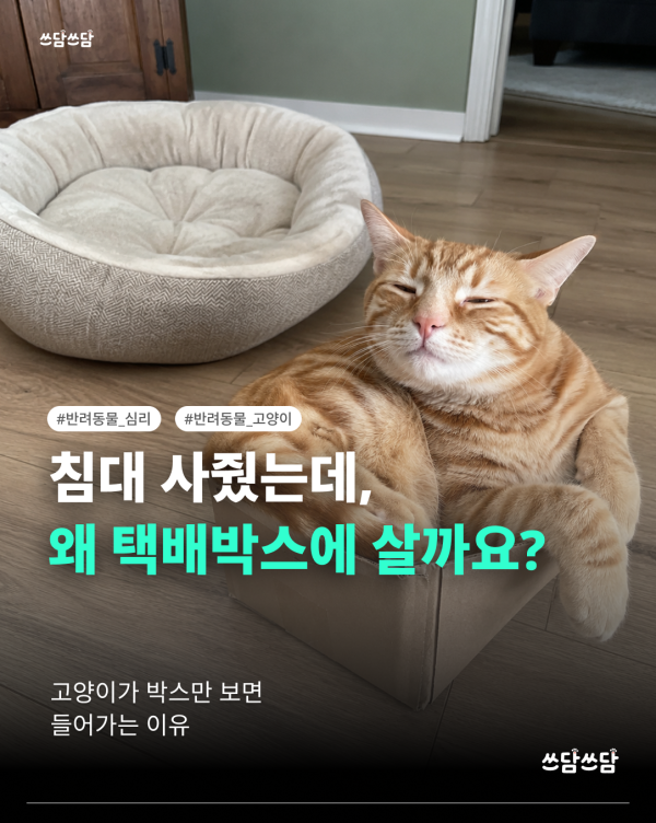 KakaoTalk_20260722_145605931.png