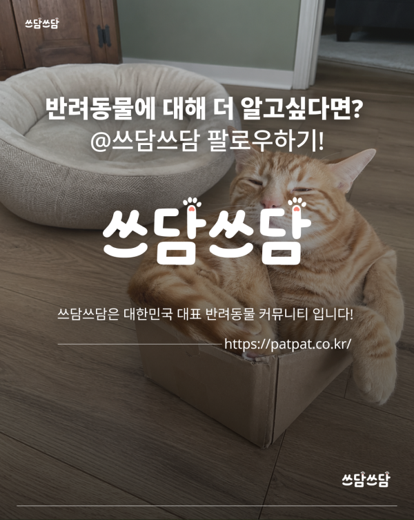 KakaoTalk_20260722_145605931_07.png